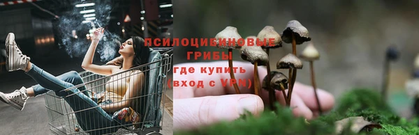 кристаллы Новозыбков