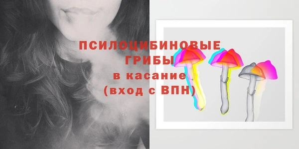 ПСИЛОЦИБИНОВЫЕ ГРИБЫ Новокубанск